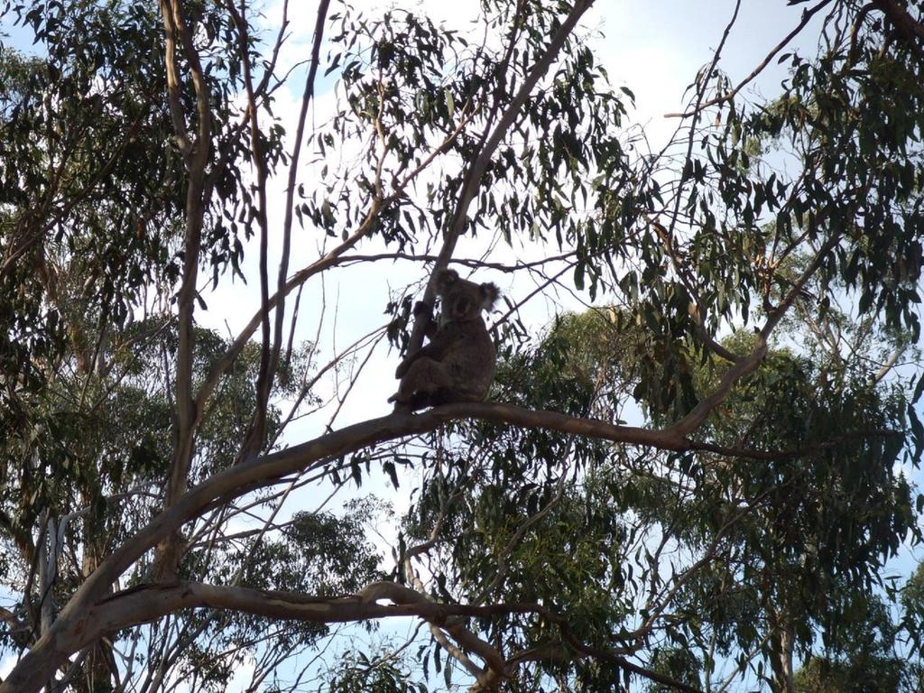 Goombungee QLD Hotel Accommodation