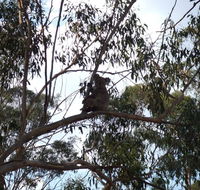 Escape to the Country - Enjoy the firepit or explore magical Bunya Mountains - Hotel Accommodation