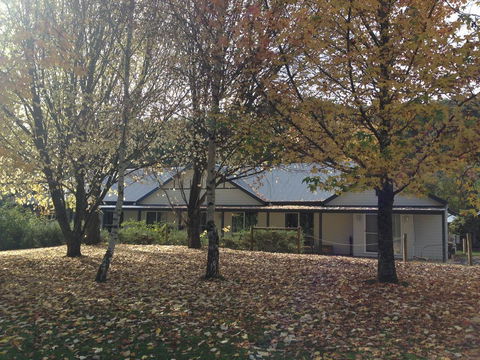 Goldberryaccommodation - Hotel Accommodation 0