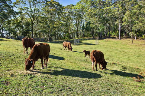 GOWAN ROSS COTTAGE - Hotel Accommodation 1