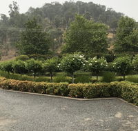 Guinevere - Hotel Accommodation