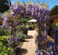 Gumtree House Montville - Hotel Accommodation