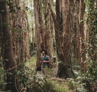 Habitat Noosa - Hotel Accommodation