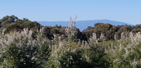 Hideaway Valley Farm - Hotel Accommodation 1