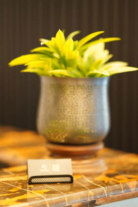 Jephson Hotel & Apartments - Hotel Accommodation 3