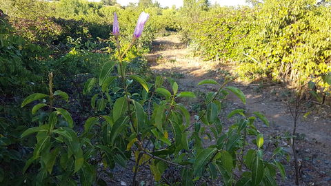 Kernow - Hotel Accommodation 1