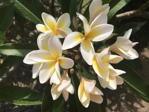 King Ludwigs Cottage - Hotel Accommodation 3