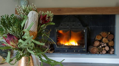 KOALA GULLY - Hotel Accommodation 0