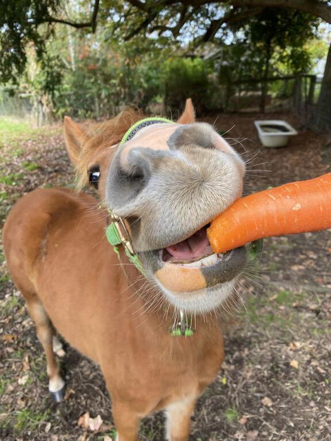 Kongwak Views - Hotel Accommodation 2