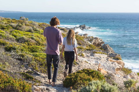 Kooyar Mia - Hotel Accommodation 3