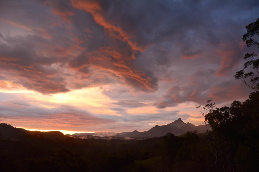 Smiths Creek NSW Hotel Accommodation