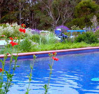 Lemonade Creek Cottages - Hotel Accommodation