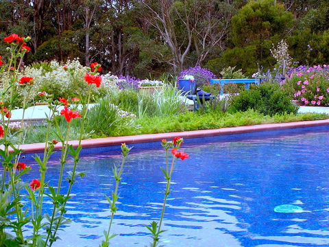 Lemonade Creek Cottages - Hotel Accommodation 0