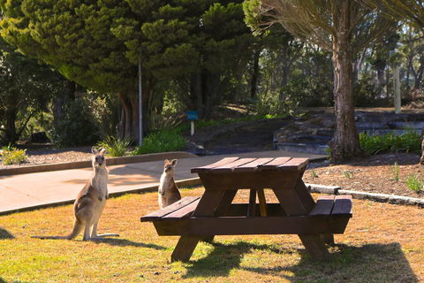 Leura Lodge At Mt Victoria - Hotel Accommodation 2