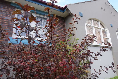 Lurline Villas - Hotel Accommodation 2