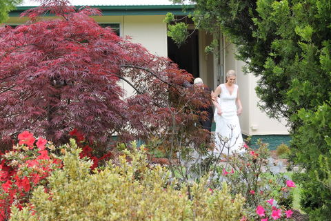 Lynrose Place - Hotel Accommodation 2