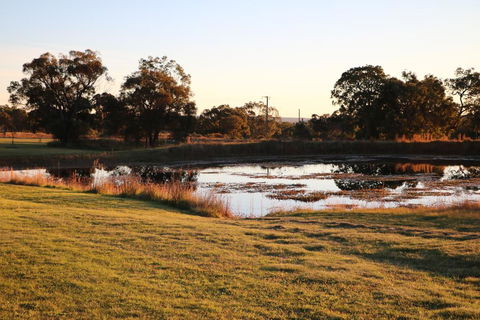 Maric Park Cottages - Hotel Accommodation 2
