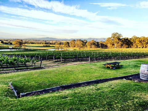 Molly Morgan Vineyard - Hotel Accommodation 1