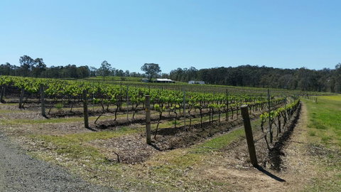 Molly Morgan Vineyard - Hotel Accommodation 3