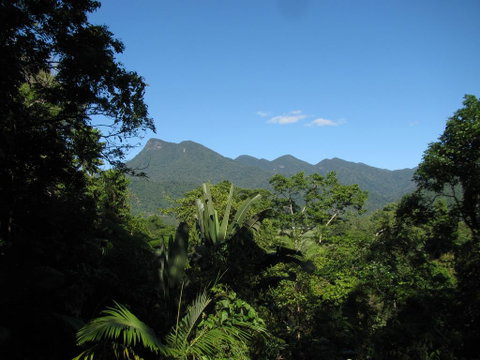 Mossman Gorge Bed And Breakfast - Hotel Accommodation 0