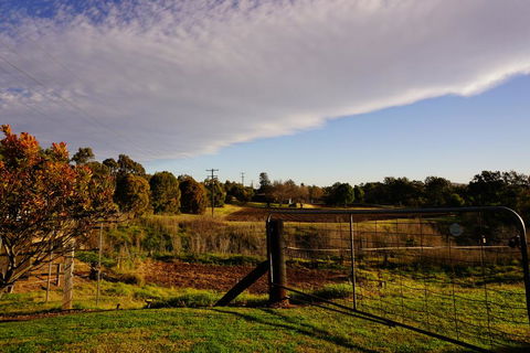 Muswellbrook Northside B&B - Hotel Accommodation 3