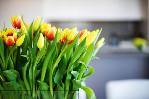 Claremont Quarter Luxury Apartment - Hotel Accommodation 11