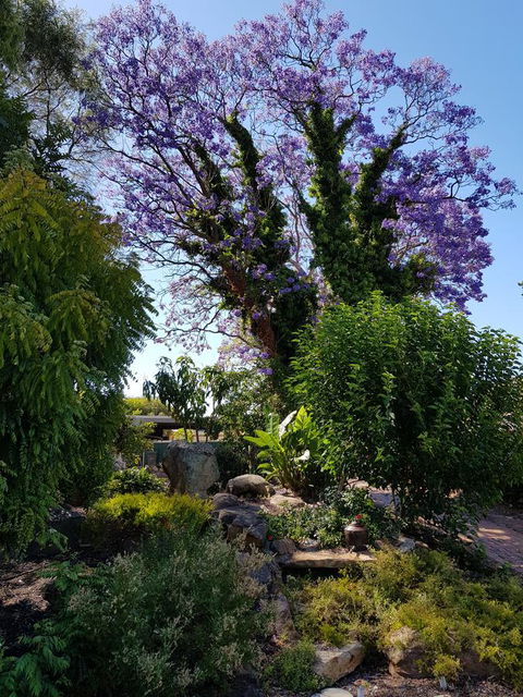 Jacaranda Hideaway Bed & Breakfast - Hotel Accommodation 10