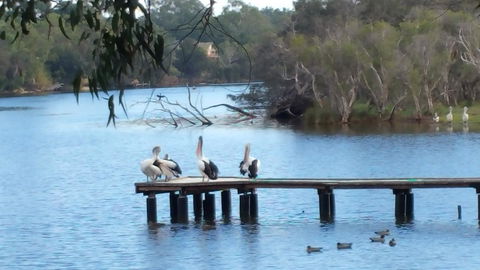 Jacaranda Hideaway Bed & Breakfast - Hotel Accommodation 18