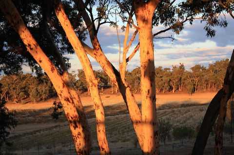 Hotham Ridge Estate - Hotel Accommodation 30