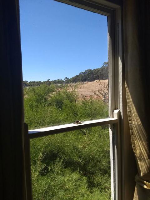 Hotham Ridge Estate - Hotel Accommodation 8