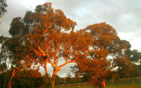 Hotham Ridge Estate - Hotel Accommodation 35