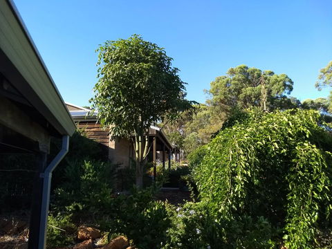 Hotham Ridge Estate - Hotel Accommodation 5