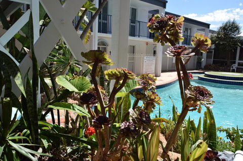 Seashore Memories - Sleeps 3 - Hotel Accommodation 14