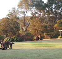 Riverside Retreat Chalets Walpole - Hotel Accommodation