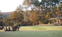Book Walpole Accommodation Vacations Hotel Accommodation Hotel Accommodation