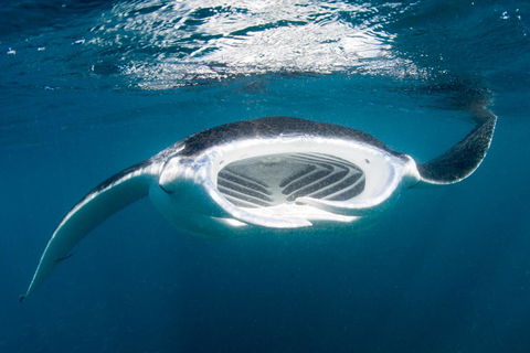 Peoples Park - Hotel Accommodation 32