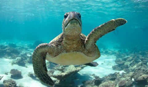 Peoples Park - Hotel Accommodation 31