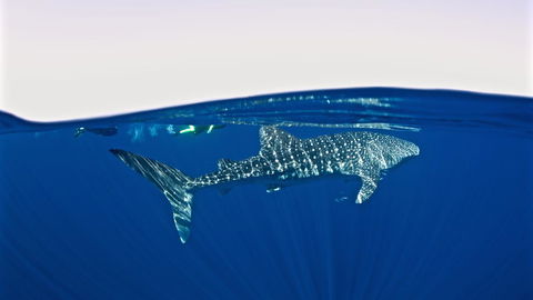 Peoples Park - Hotel Accommodation 33