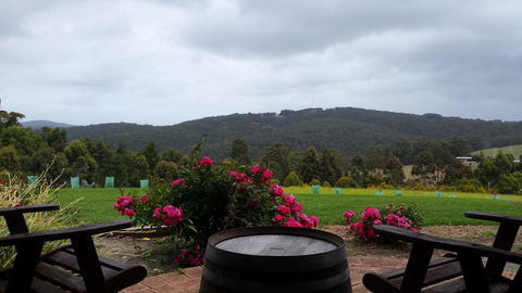 Karri Aura - Hotel Accommodation 3