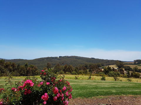 Karri Aura - Hotel Accommodation 9