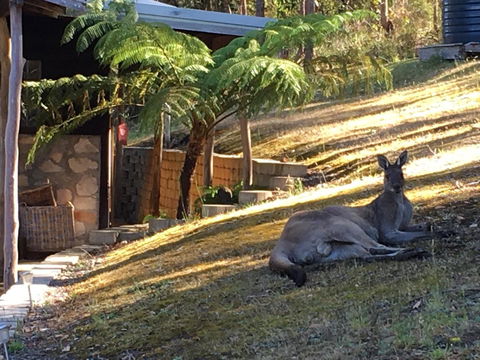 Kangaroo Valley Cottage - Hotel Accommodation 3