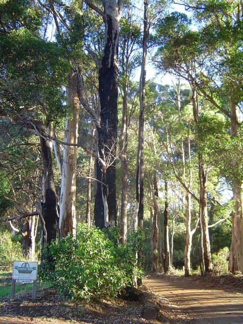 Kangaroo Valley Cottage - Hotel Accommodation 21