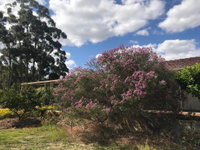 Book Cockburn Central Accommodation Vacations Hotel Accommodation Hotel Accommodation