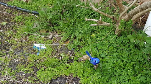 Abbivale Farm Cottage - Hotel Accommodation 17