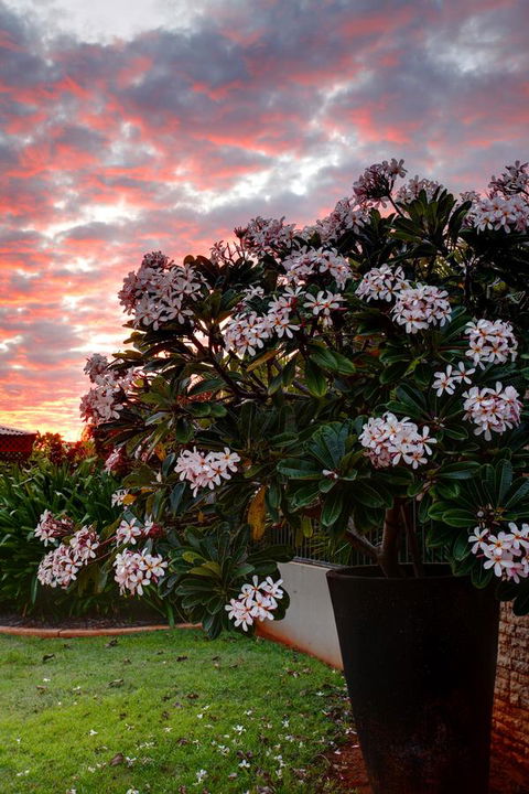 Mantra Frangipani Broome - Hotel Accommodation 35