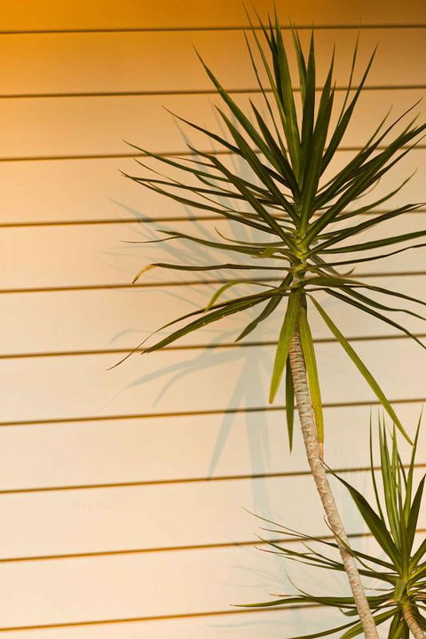 The Billi Resort - Hotel Accommodation 44