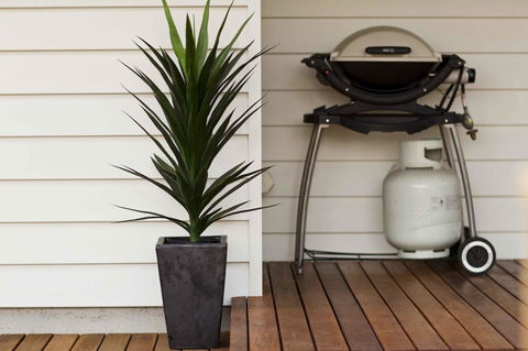 The Billi Resort - Hotel Accommodation 30