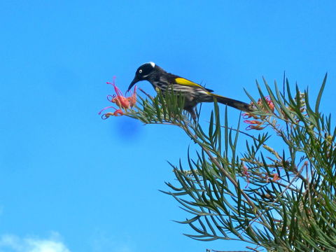 Bridgetown Valley Lodge - Hotel Accommodation 42