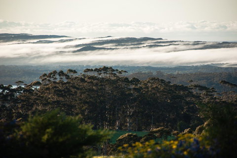 Celestine Retreat - Hotel Accommodation 13