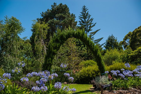 Celestine Retreat - Hotel Accommodation 15